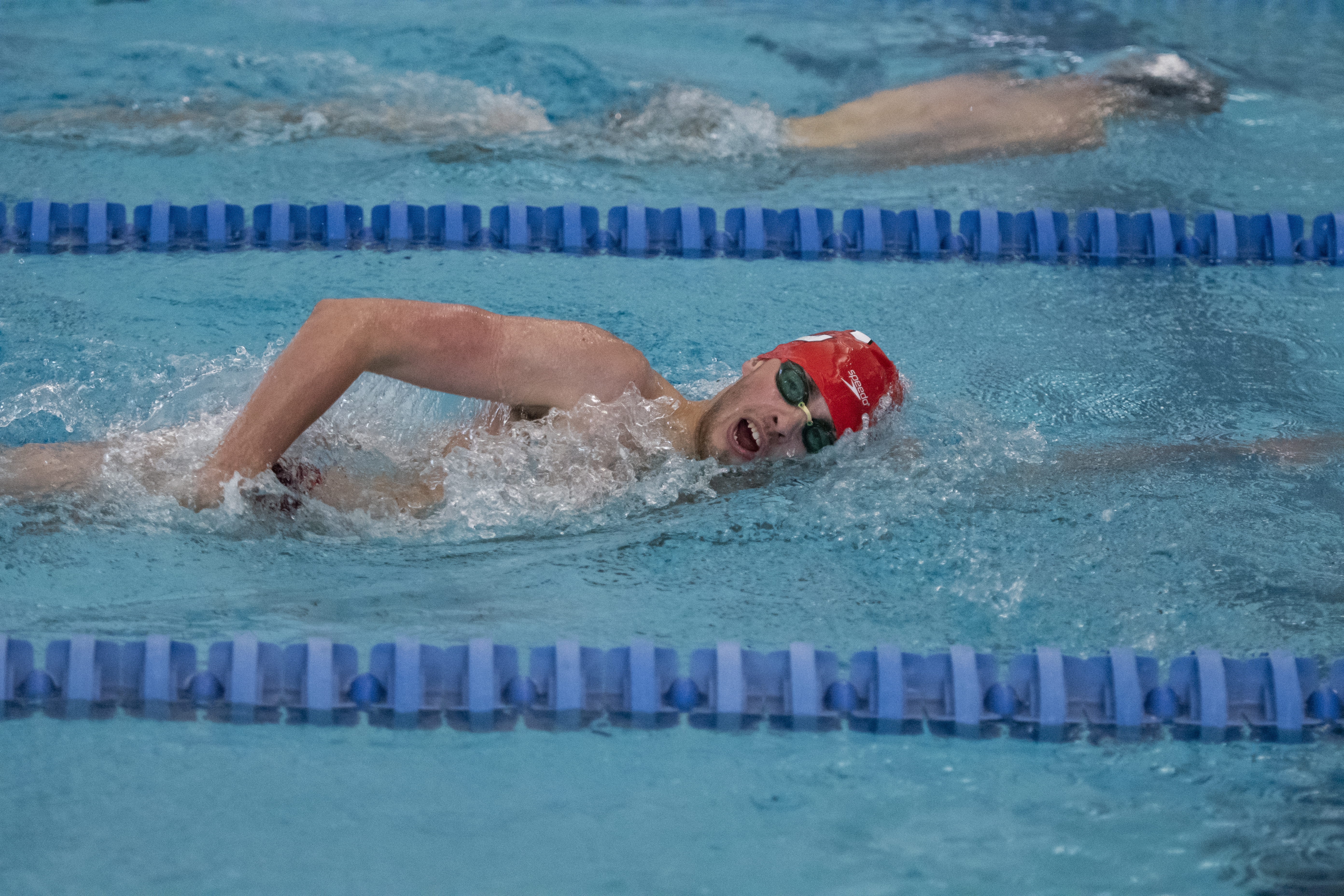 Swimming Action Photo 1